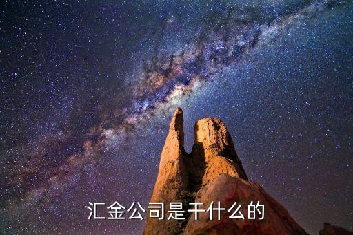 深圳惠程為什么匯金進(jìn)駐，匯金公司是怎么回事