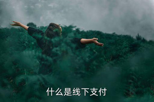 什么是線上線下支付，什么是線下支付