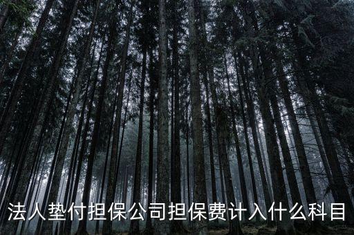 什么是法人墊款，法人代墊款的分錄需有什么附件嗎