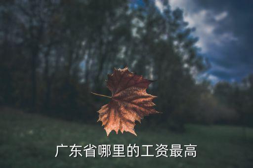 廣東工資最高什么地方，廣東什么地方打工工資最高