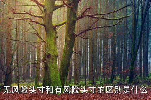 市場風險頭寸是什么，什么是可抵消市場風險頭寸