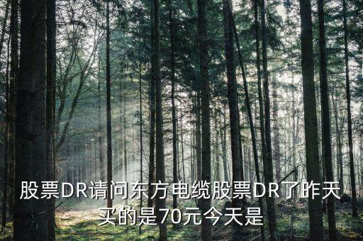 603606東方電纜屬于什么股票，丹 東 浪 頭 機 場 訂 票 熱 線 電 話 是 多 少