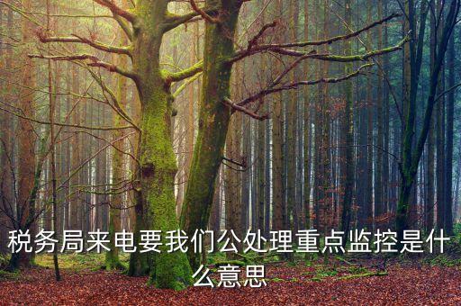 稅務(wù)局來(lái)電要我們公處理重點(diǎn)監(jiān)控是什么意思