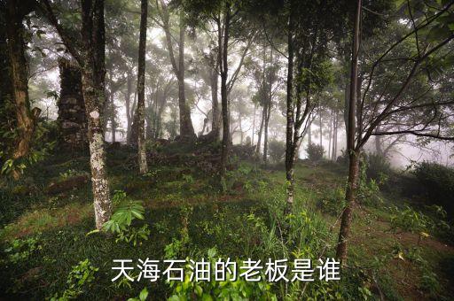 天海收購(gòu)英邁什么時(shí)間，信用卡能不能申請(qǐng)延遲2天?？?/></a></span><span id=