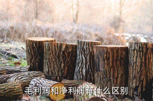 毛利潤(rùn)要減去什么才是凈利潤(rùn)，請(qǐng)問(wèn)經(jīng)濟(jì) 利潤(rùn) 和 凈利潤(rùn) 有什么區(qū)別呢比如 一件衣服進(jìn)價(jià)60元