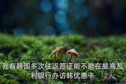 訪韓優(yōu)惠卡有什么作用，我有韓國多次往返簽證能不能在威海友利銀行辦訪韓優(yōu)惠卡