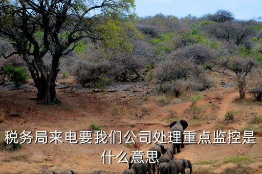 稅務(wù)局來(lái)電要我們公司處理重點(diǎn)監(jiān)控是什么意思