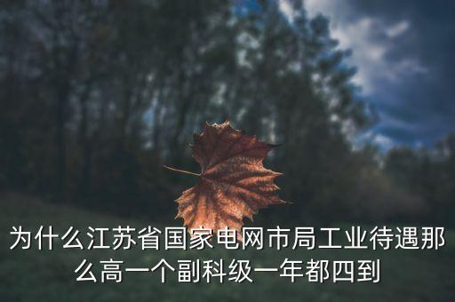 電力住房公積金為什么高，國(guó)家電網(wǎng)正式工公積金800元高嗎