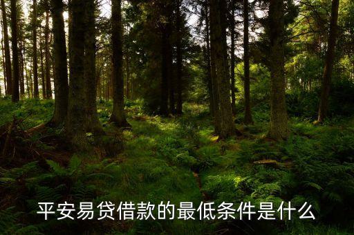平安信保易貸是什么，平安易貸借款的最低條件是什么