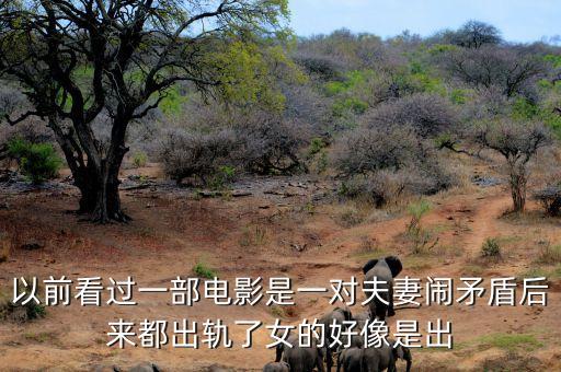 候永財(cái)執(zhí)導(dǎo)過(guò)什么電影，以前看過(guò)一部電影是一對(duì)夫妻鬧矛盾后來(lái)都出軌了女的好像是出