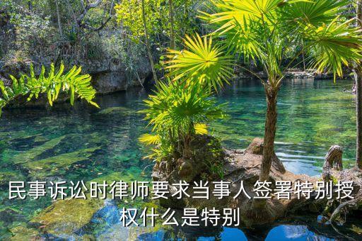 民事訴訟時(shí)律師要求當(dāng)事人簽署特別授權(quán)什么是特別