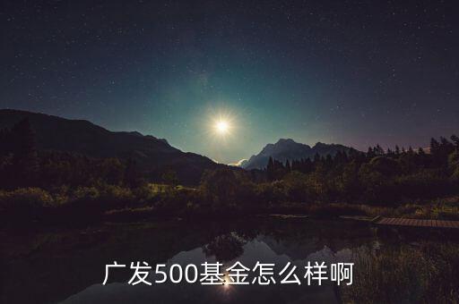 廣發(fā)500凈值為什么很低，廣發(fā)500基金怎么樣啊