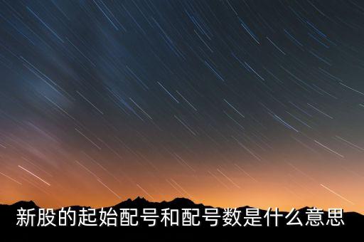 新股申購起始配號是什么意思，新股起始配號是什么意思配號21是什么意思