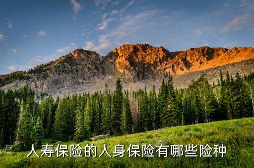 什么是傳統(tǒng)險非傳統(tǒng)險，保險市場目前有哪些保險產(chǎn)品如何進(jìn)行分類每類有什么特點
