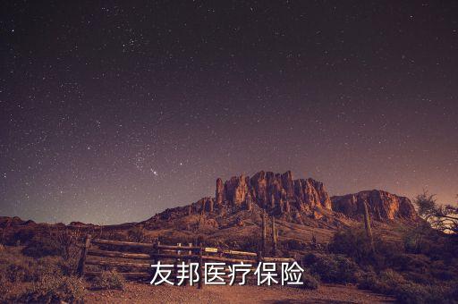 花旗代理友邦什么保險，花旗和友邦合作的意外保險怎么樣