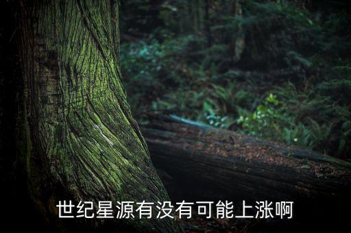 世紀(jì)星源股為什么不會(huì)漲，世紀(jì)星源有沒有可能上漲啊