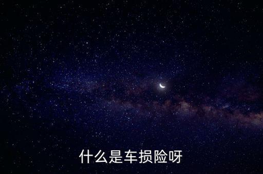 汽車(chē)車(chē)損險(xiǎn)是什么，汽車(chē)什么是車(chē)損險(xiǎn)定義