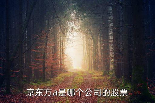 京東方a是什么企業(yè)，京東方A董事長是誰是什么企業(yè)