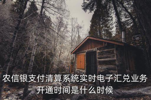 什么是特約電子匯兌，各位大神請問有誰知道建行卡交易明細清單上寫的特約匯融