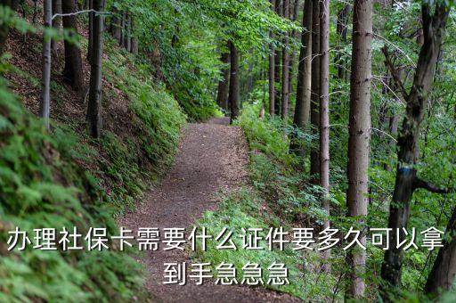 辦理社?？ㄐ枰裁醋C件要多久可以拿到手急急急