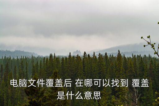 首次覆蓋是什么意思，首次覆蓋給予買(mǎi)入評(píng)級(jí) 什么意思