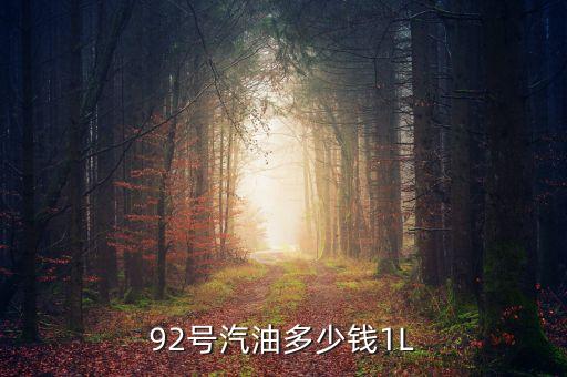 92號汽油什么價，92汽油價格