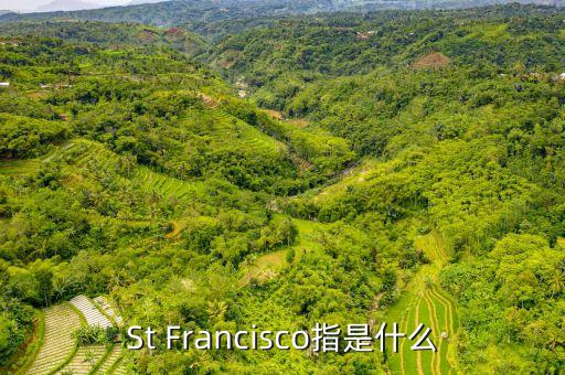 st戰(zhàn)略是什么，ST戰(zhàn)略是什么意思