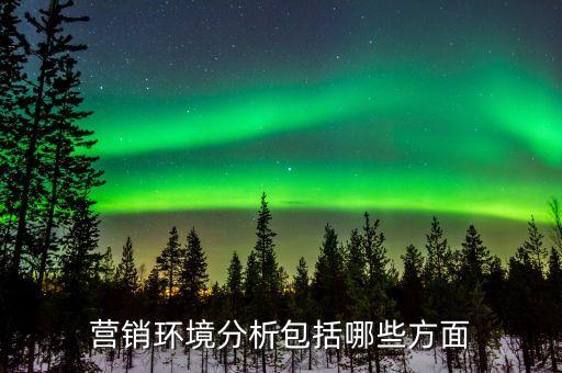 營(yíng)銷環(huán)境分析包括哪些方面