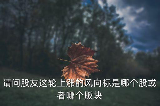 請問股友這輪上漲的風(fēng)向標(biāo)是哪個(gè)股或者哪個(gè)版塊