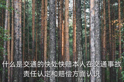 車險(xiǎn)快賠是什么，汽車快賠是什么意思