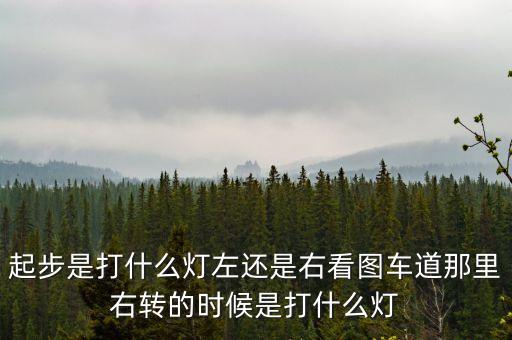 駕駛打右燈和左燈什么意思啊，起步是打什么燈左還是右看圖車道那里右轉(zhuǎn)的時候是打什么燈