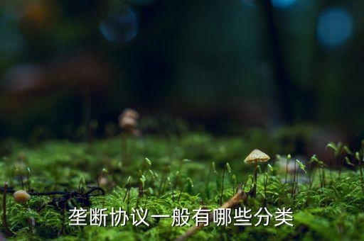 什么是縱向壟斷協(xié)議，壟斷協(xié)議一般有哪些分類