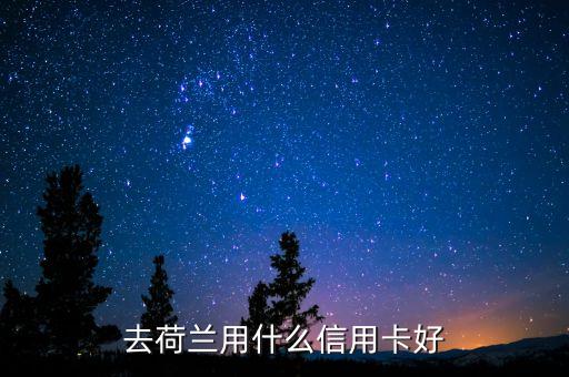中國荷蘭兩地走要開張什么銀行卡，去歐洲旅游辦張那種的銀行卡方便呢