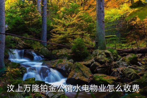 汶上萬隆鉑金公館水電物業(yè)怎么收費