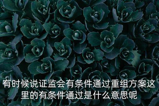 重組項(xiàng)目過(guò)會(huì)是什么意思，資產(chǎn)重組獲股東大會(huì)高票通過(guò)什么意思