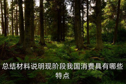 從材料的數(shù)據(jù)中反映了當(dāng)前消費(fèi)的什么特點(diǎn)，總結(jié)材料說明現(xiàn)階段我國消費(fèi)具有哪些特點(diǎn)