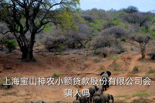 上海神農(nóng)小額貸款公司經(jīng)理叫什么，上海寶山神農(nóng)小額貸款股份有限公司會(huì)騙人嗎