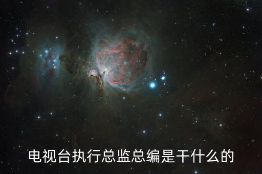 執(zhí)行總編輯負(fù)責(zé)什么，執(zhí)行總編和總編的區(qū)別