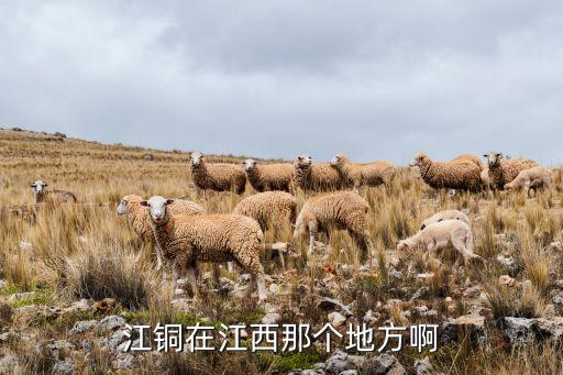 陽(yáng)谷景陽(yáng)岡銅材有限公司,山東陽(yáng)谷景陽(yáng)岡酒業(yè)有限公司