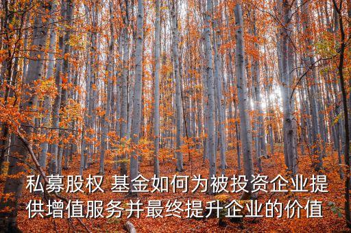 私募基金迎來黃金時代