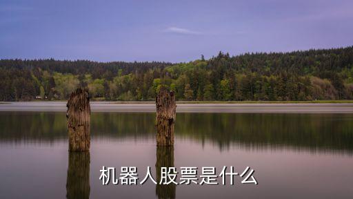  機器人股票是什么