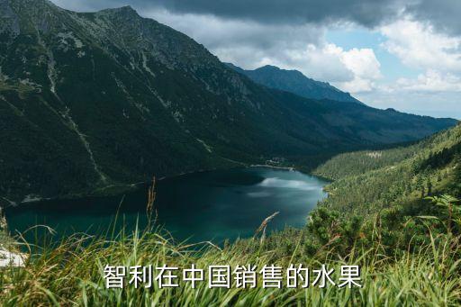  智利在中國(guó)銷(xiāo)售的水果