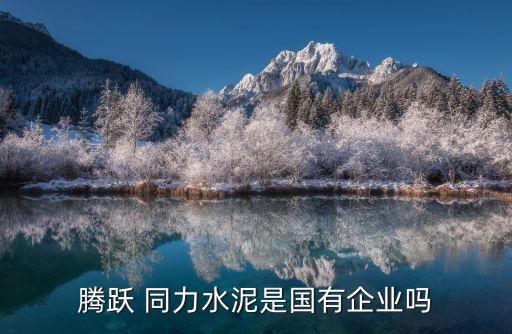 河南同力集團(tuán),同力水泥集團(tuán)簡介