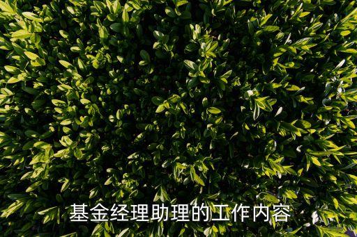  基金經(jīng)理助理的工作內(nèi)容