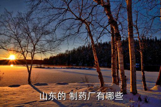 山東瑞陽(yáng)制藥公司法定代表人