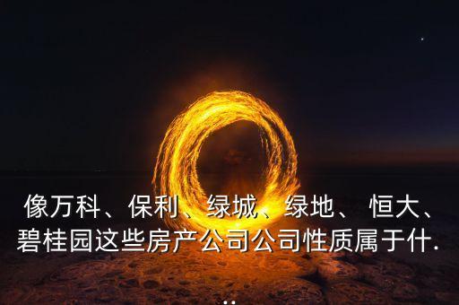 像萬(wàn)科、保利、綠城、綠地、 恒大、碧桂園這些房產(chǎn)公司公司性質(zhì)屬于什...