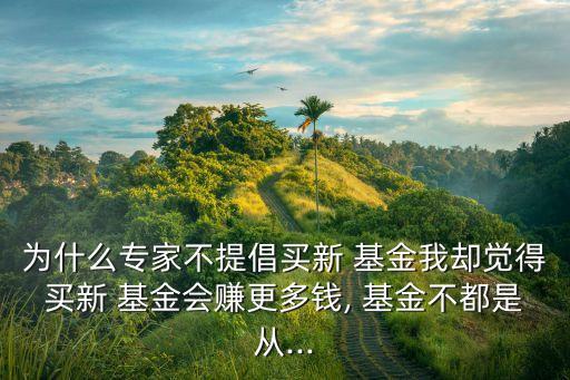 為什么專(zhuān)家不提倡買(mǎi)新 基金我卻覺(jué)得買(mǎi)新 基金會(huì)賺更多錢(qián), 基金不都是從...