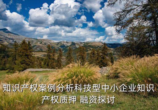 知識產權案例分析科技型中小企業(yè)知識產權質押 融資探討