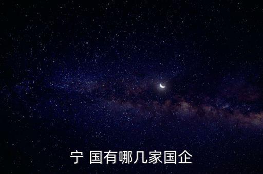 寧 國有哪幾家國企