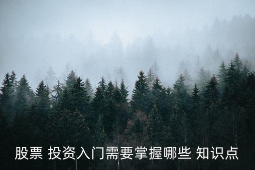 股票 投資入門(mén)需要掌握哪些 知識(shí)點(diǎn)